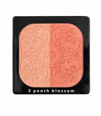 DOLCE GABBANA - Palette highlighter & blush multi-usages SANS BOÎTE
